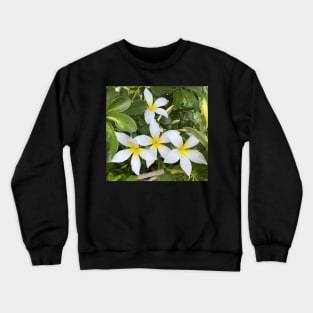 Plumeria Flowers Crewneck Sweatshirt